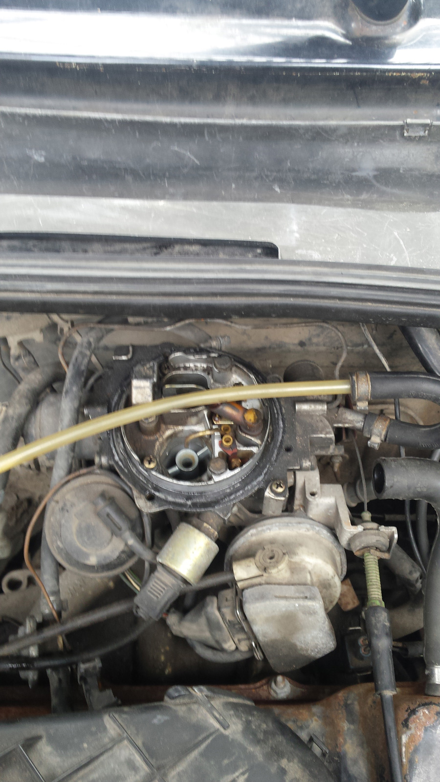 20160403_155302.jpg