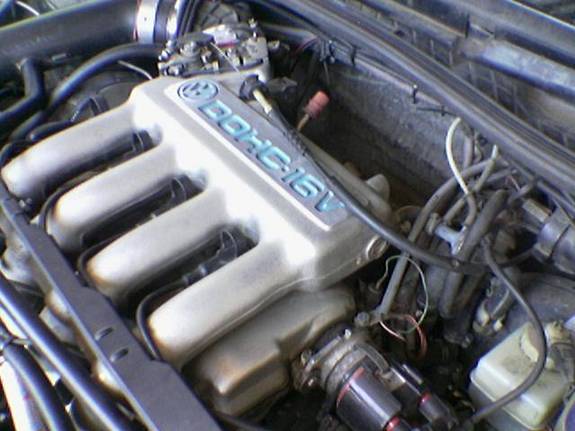 25716700085_large.jpg
