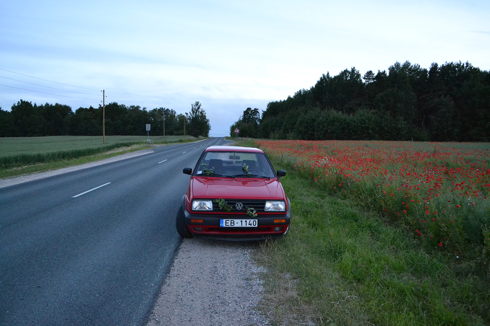 DSC_0032.JPG