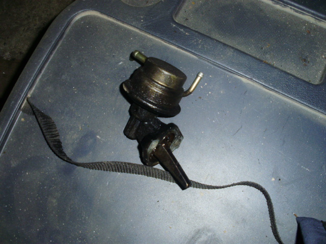 P1290040.JPG