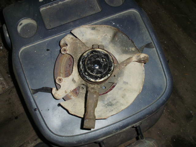 P1290045.JPG