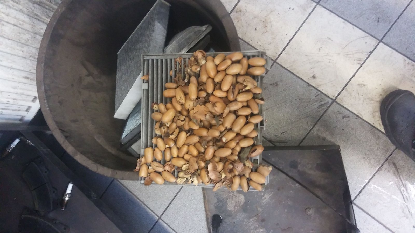 IMG-20190105-WA0032.jpeg