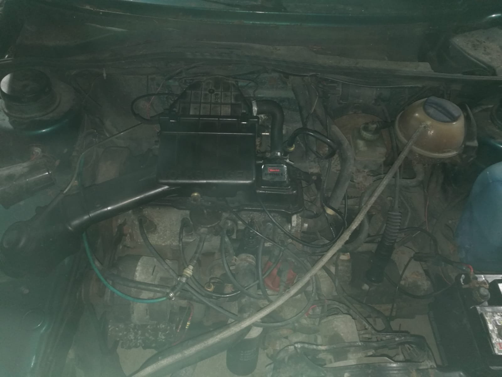 golf motors.jpg
