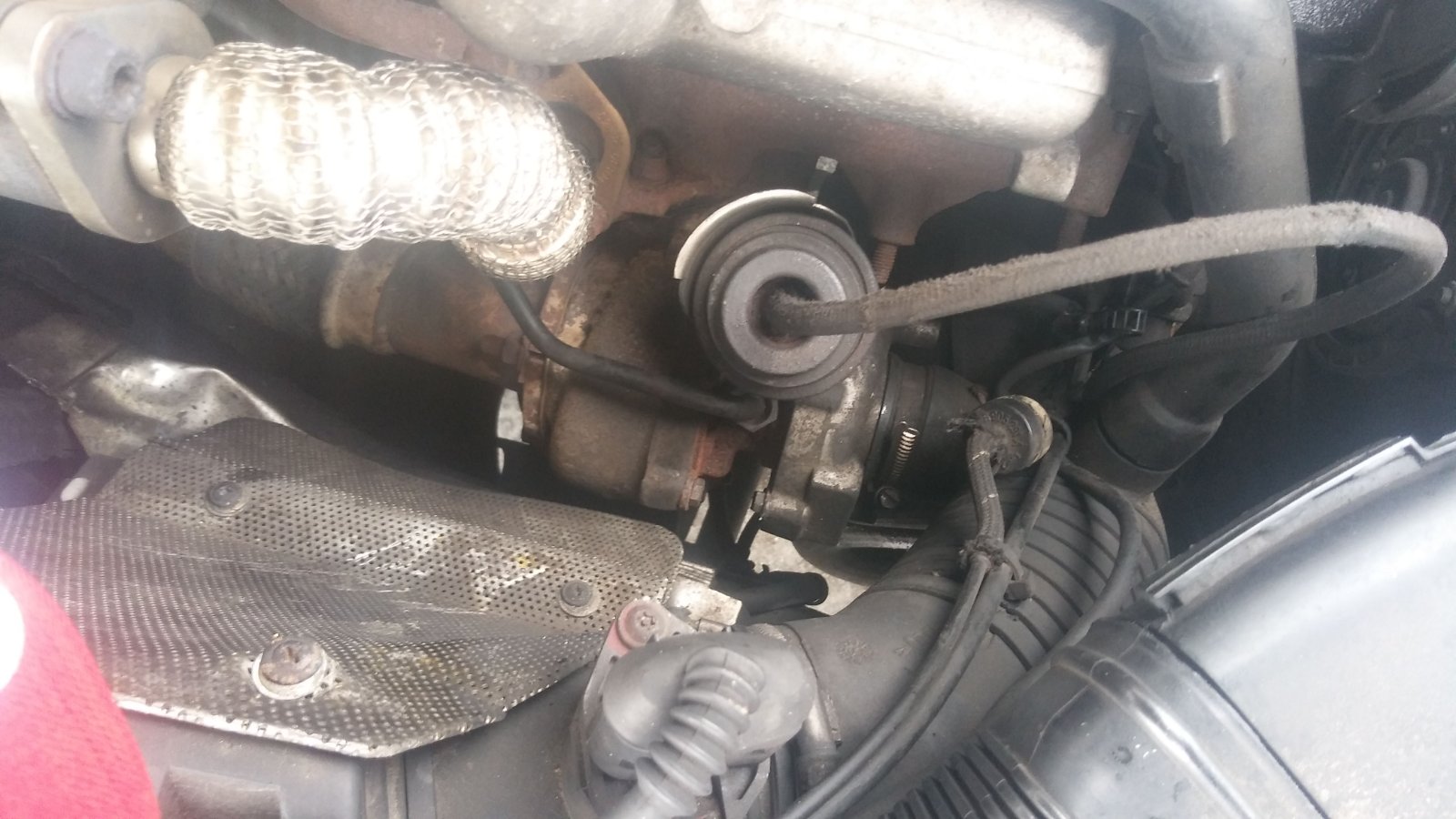 IMG-20190209-WA0035.jpeg
