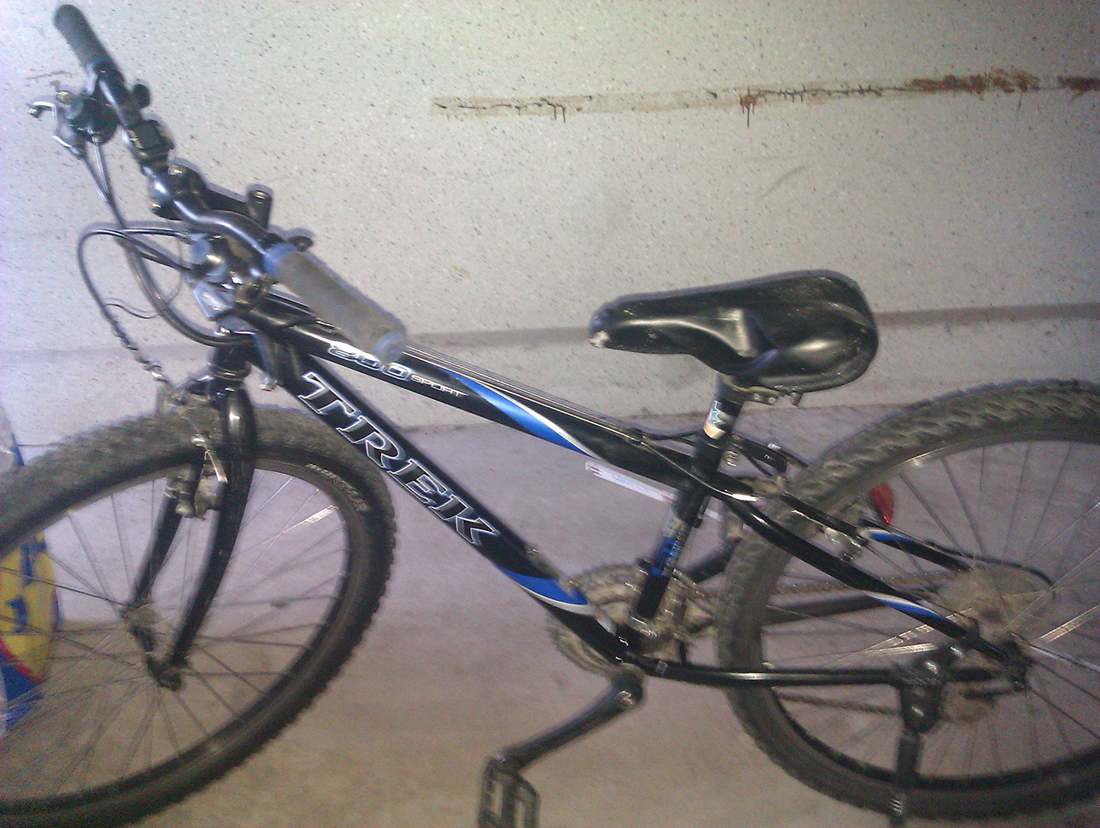 IMAG0656.jpg