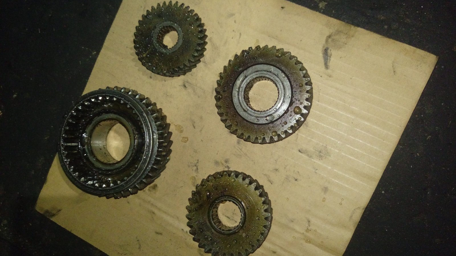 IMAG0034.jpg
