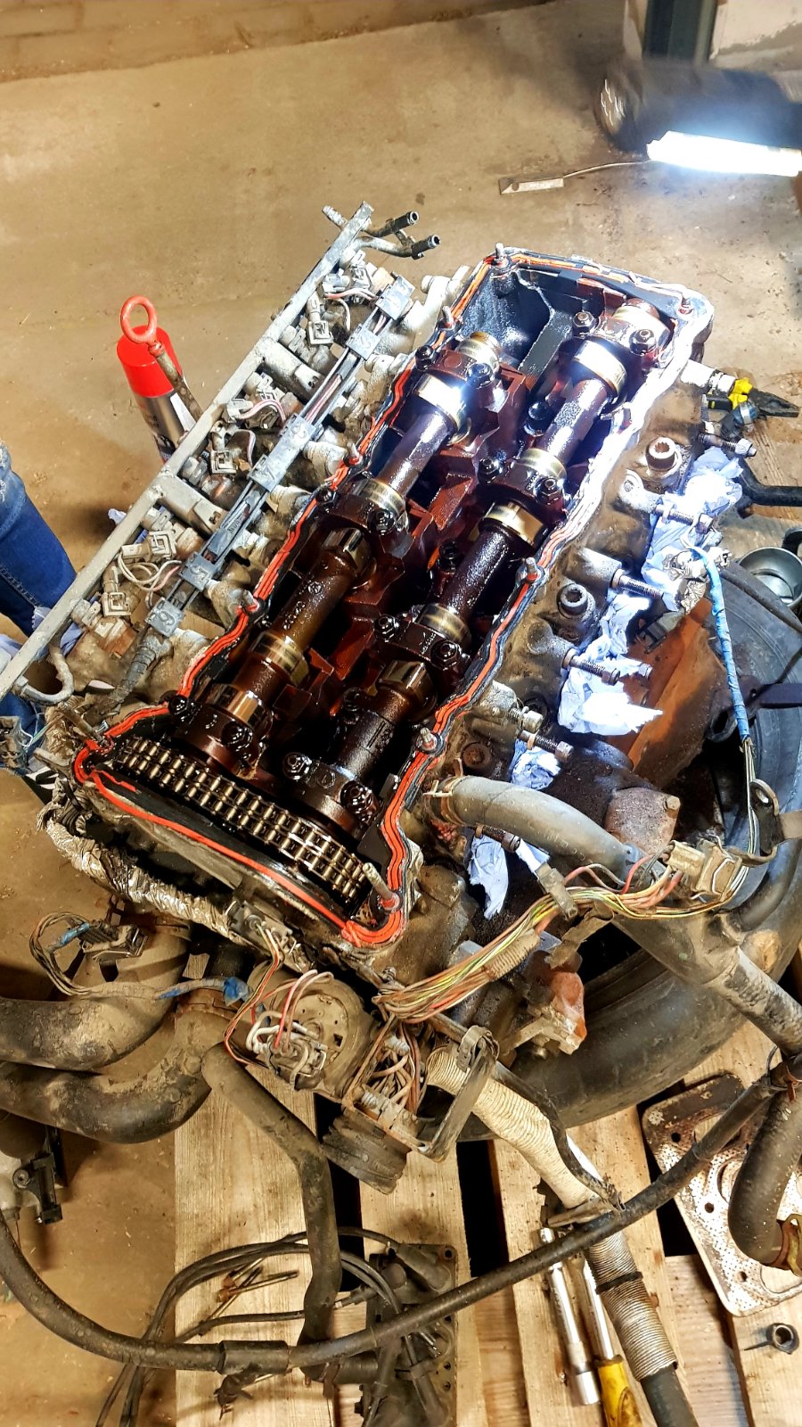 20190330_194512.jpg