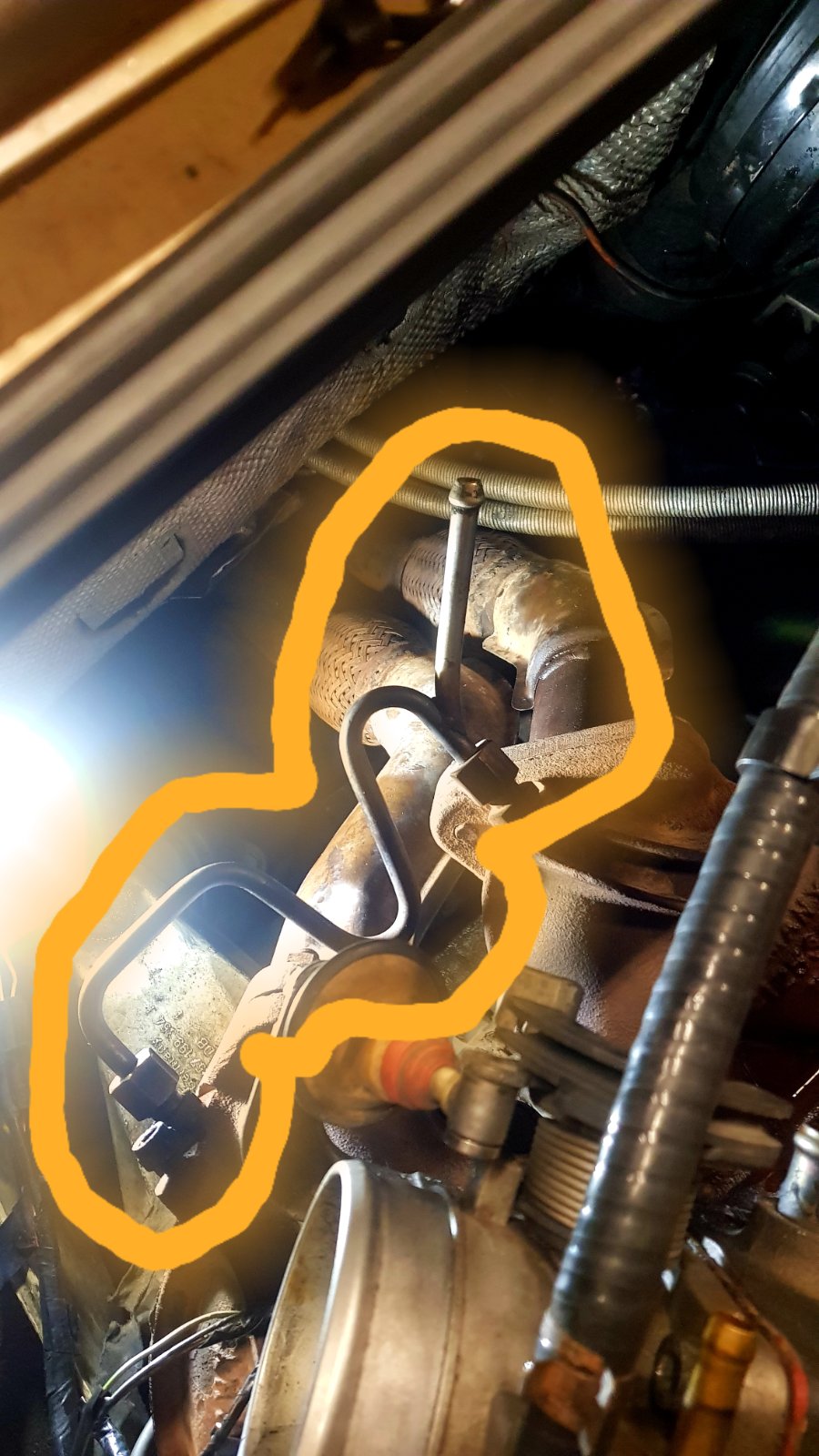 20190401_204202.jpg