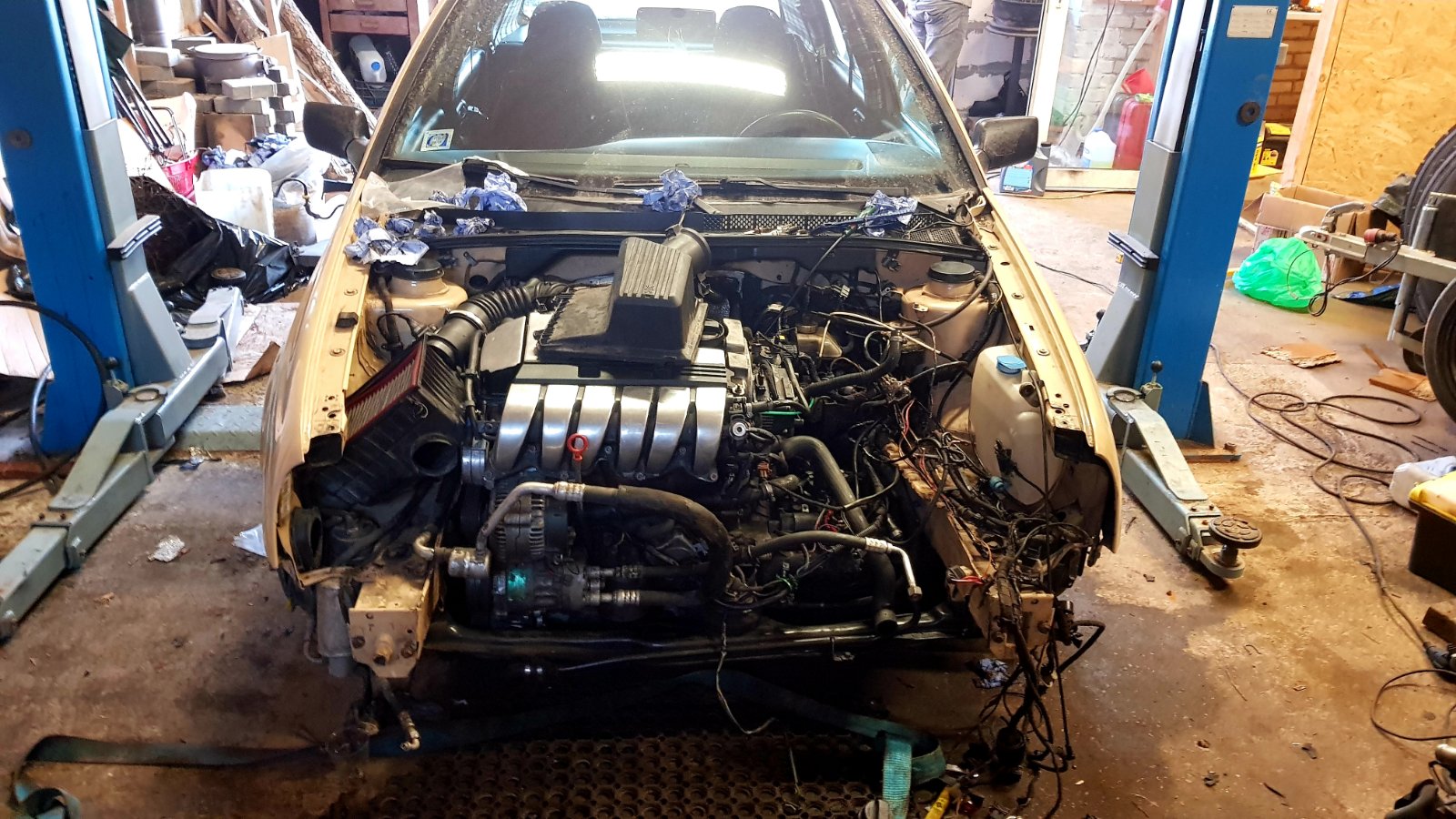 20190407_074140.jpg