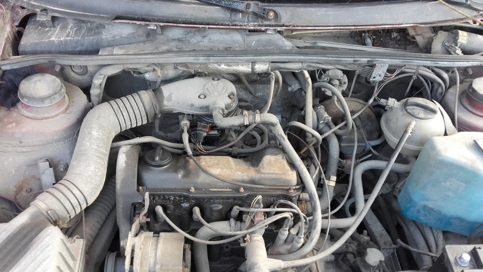 20190421_190531.jpg