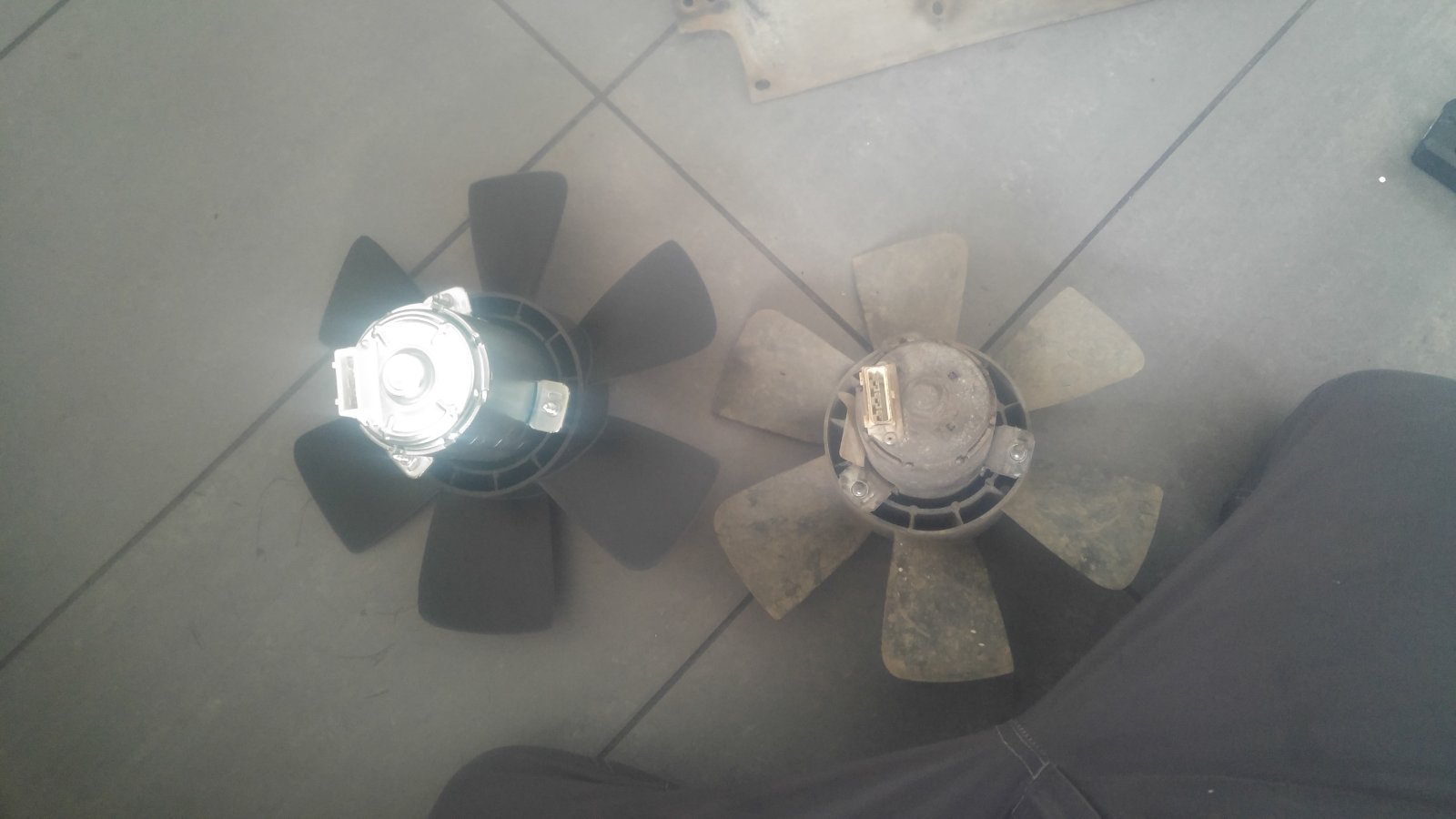 20190612_143359_HDR.jpg