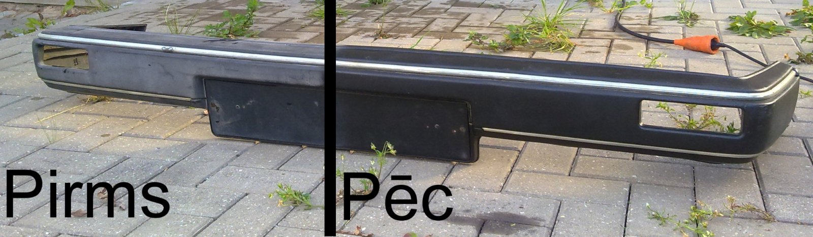 Fens_1.jpg