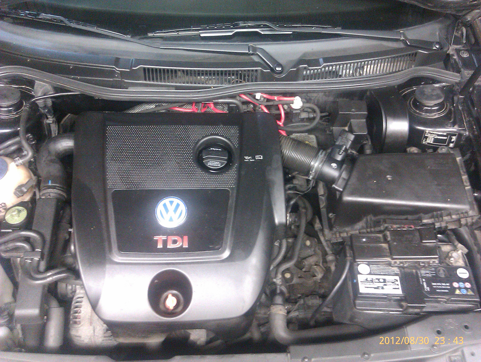 IMAG0798.jpg