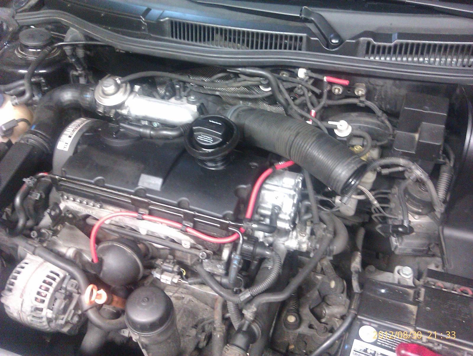 IMAG0793.jpg