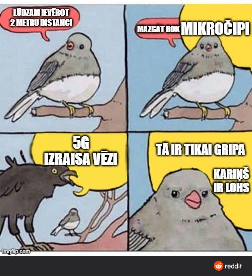 1c154ca.jpg