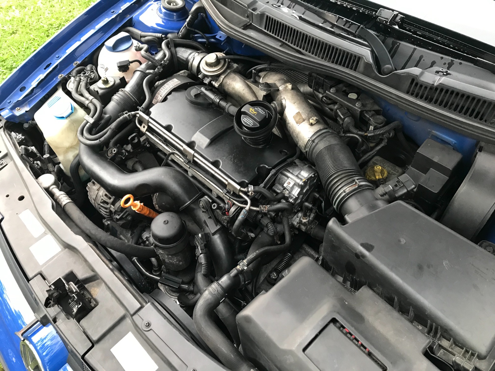 5F539E9F-B874-41F5-8234-B47E2C16E38D.jpeg