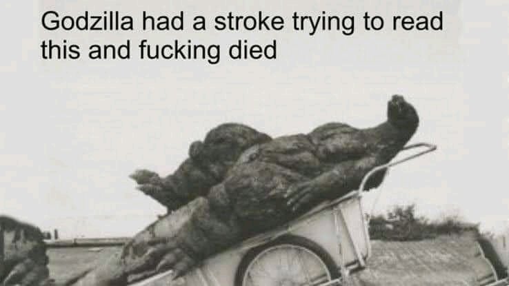 1641402724309.jpg