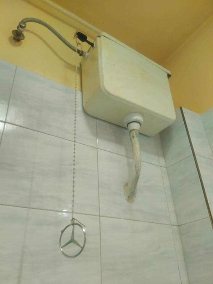 FB_IMG_1643709311493.jpg
