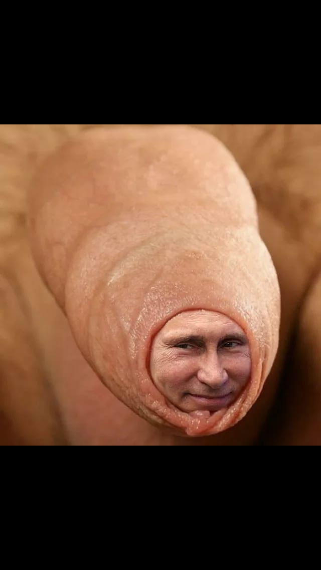 D0B01501-6B6F-43AC-A1D9-B3EA2DD2F698.png