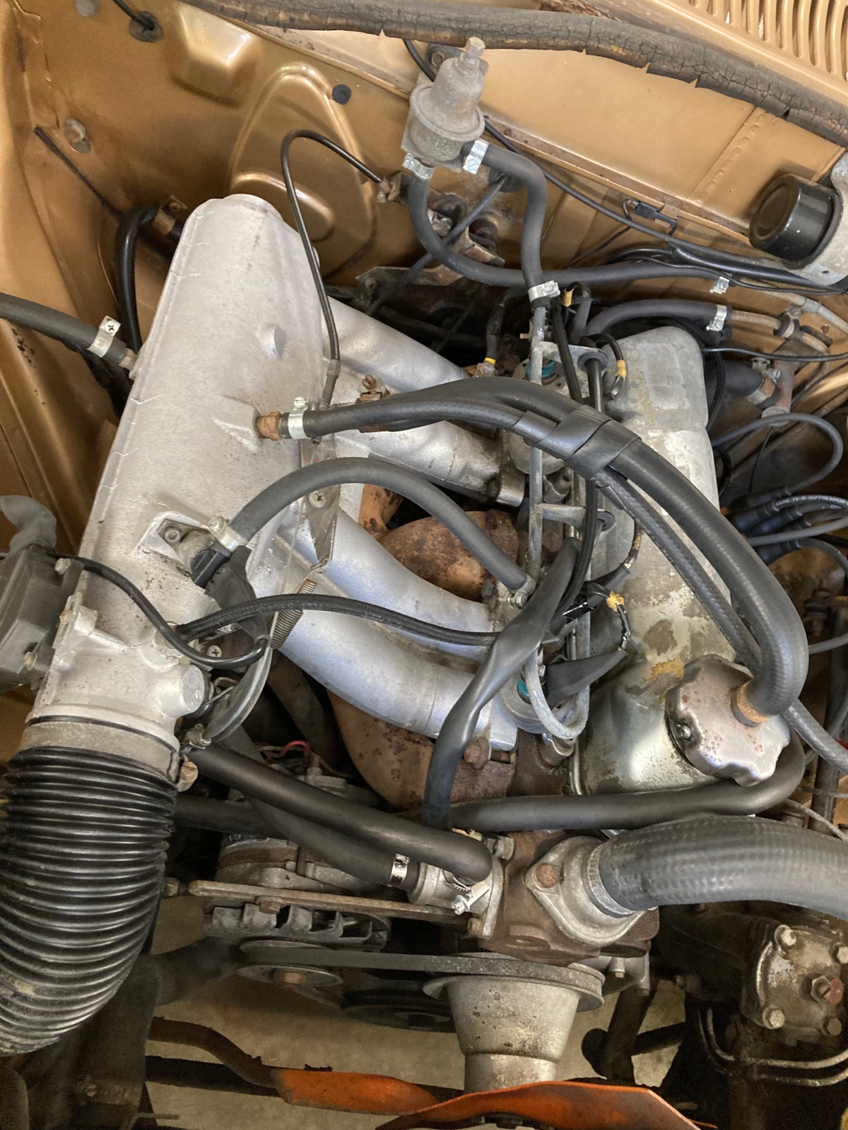 F3501405-34C2-46E2-AECC-87E8FF9A5FE6.jpeg