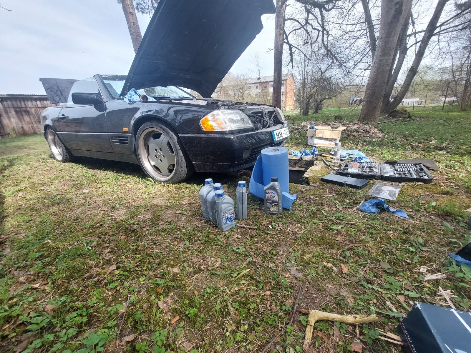 20250418_140257.jpg