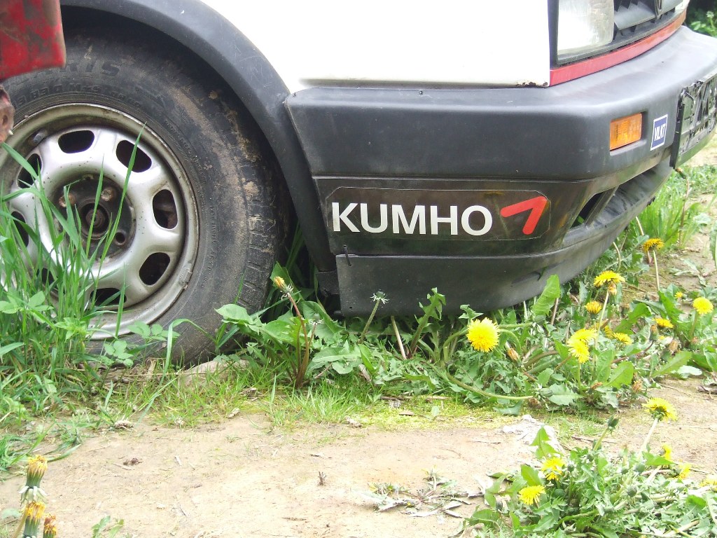 DSCF0491.JPG