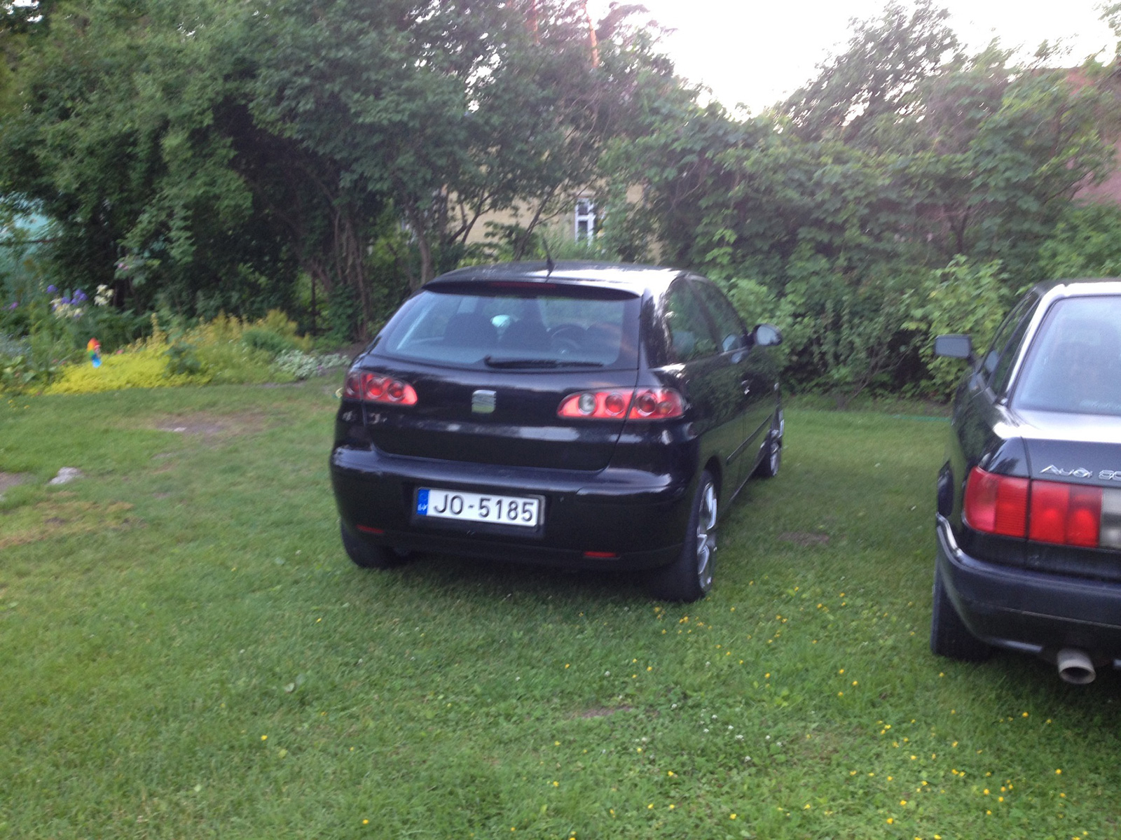 IMG-1495.jpg