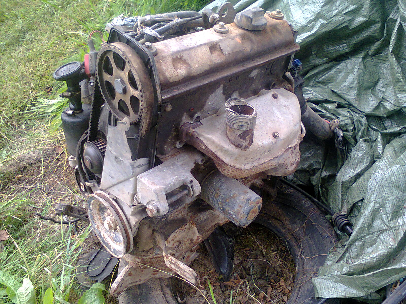 Fotoattēls0201.jpg