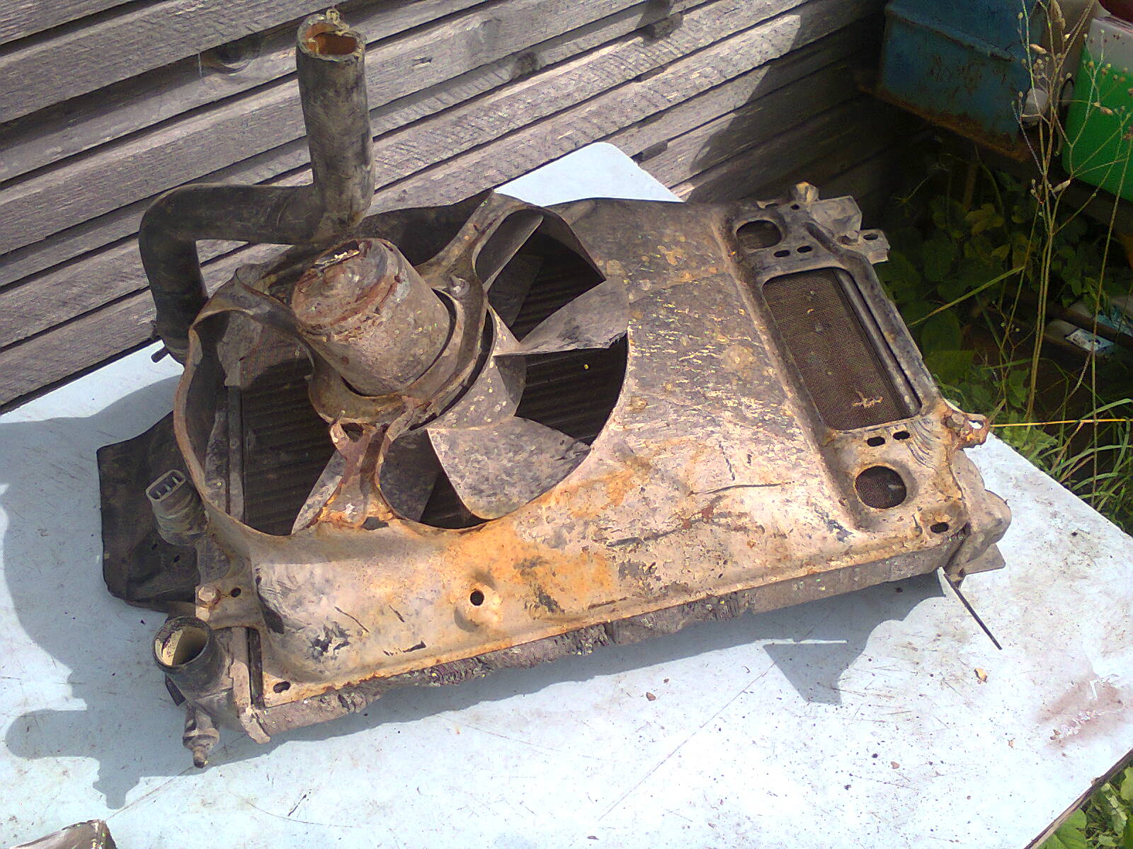 Fotoattēls0217.jpg