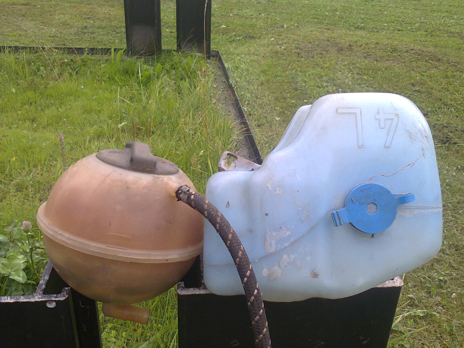 Fotoattēls0231.jpg