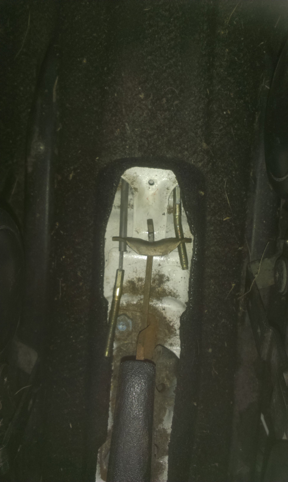 IMAG0523.jpg