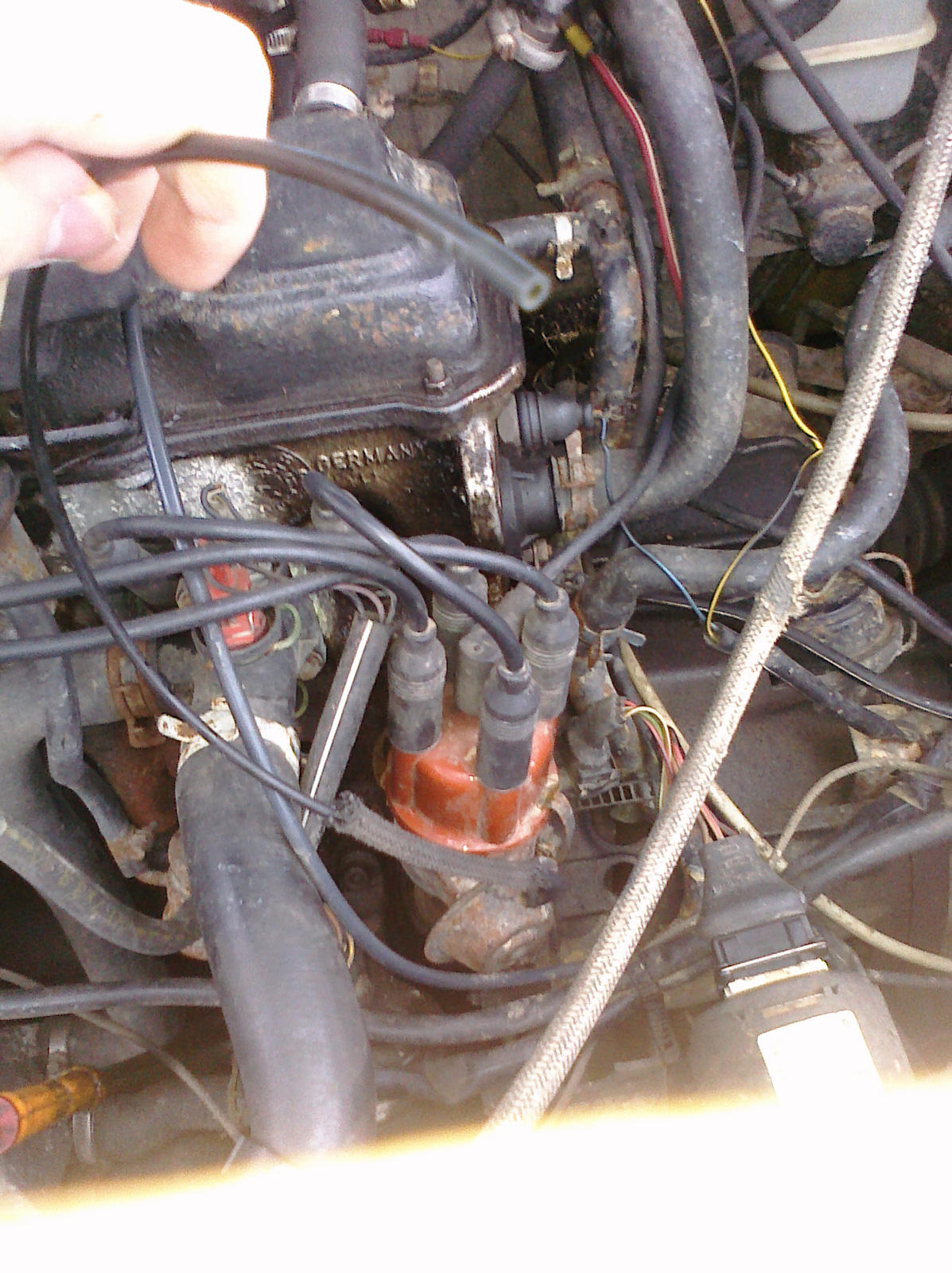 CIMG0086.jpg