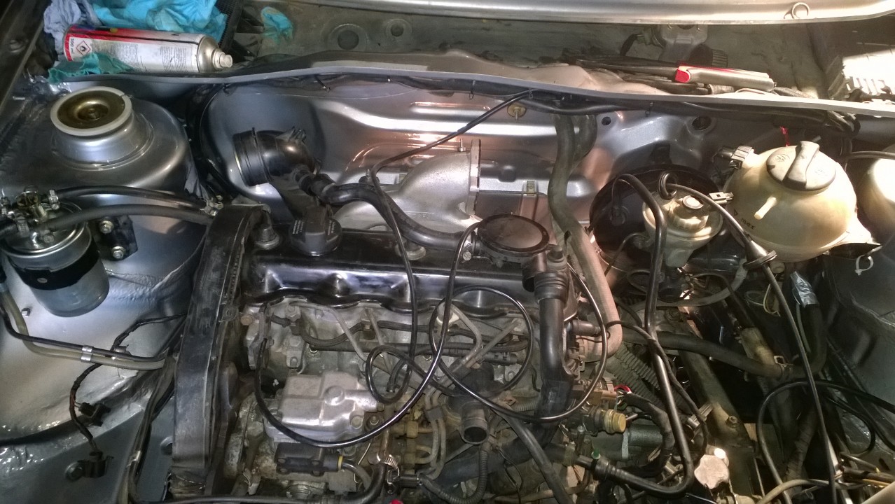 WP_20140524_013.jpg