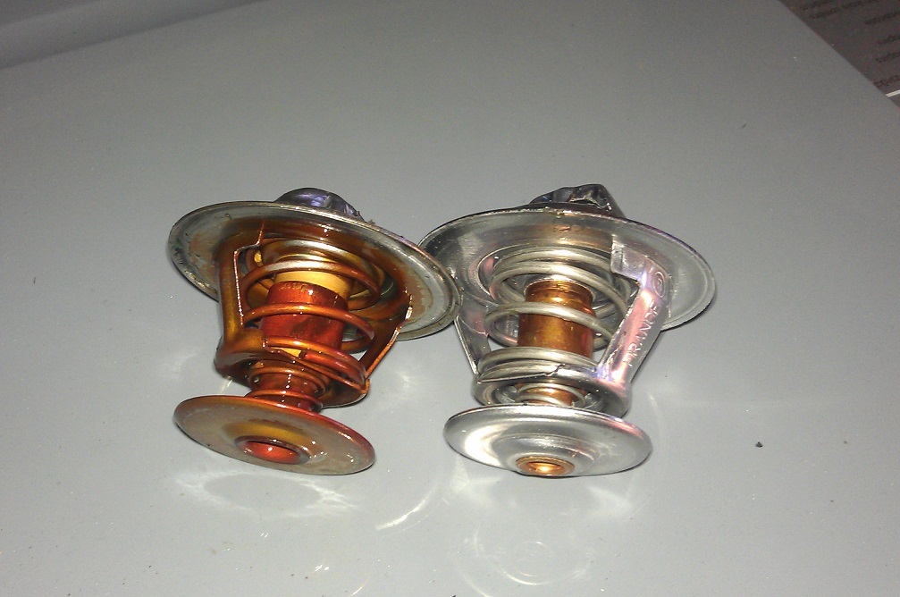 IMAG0726.jpg
